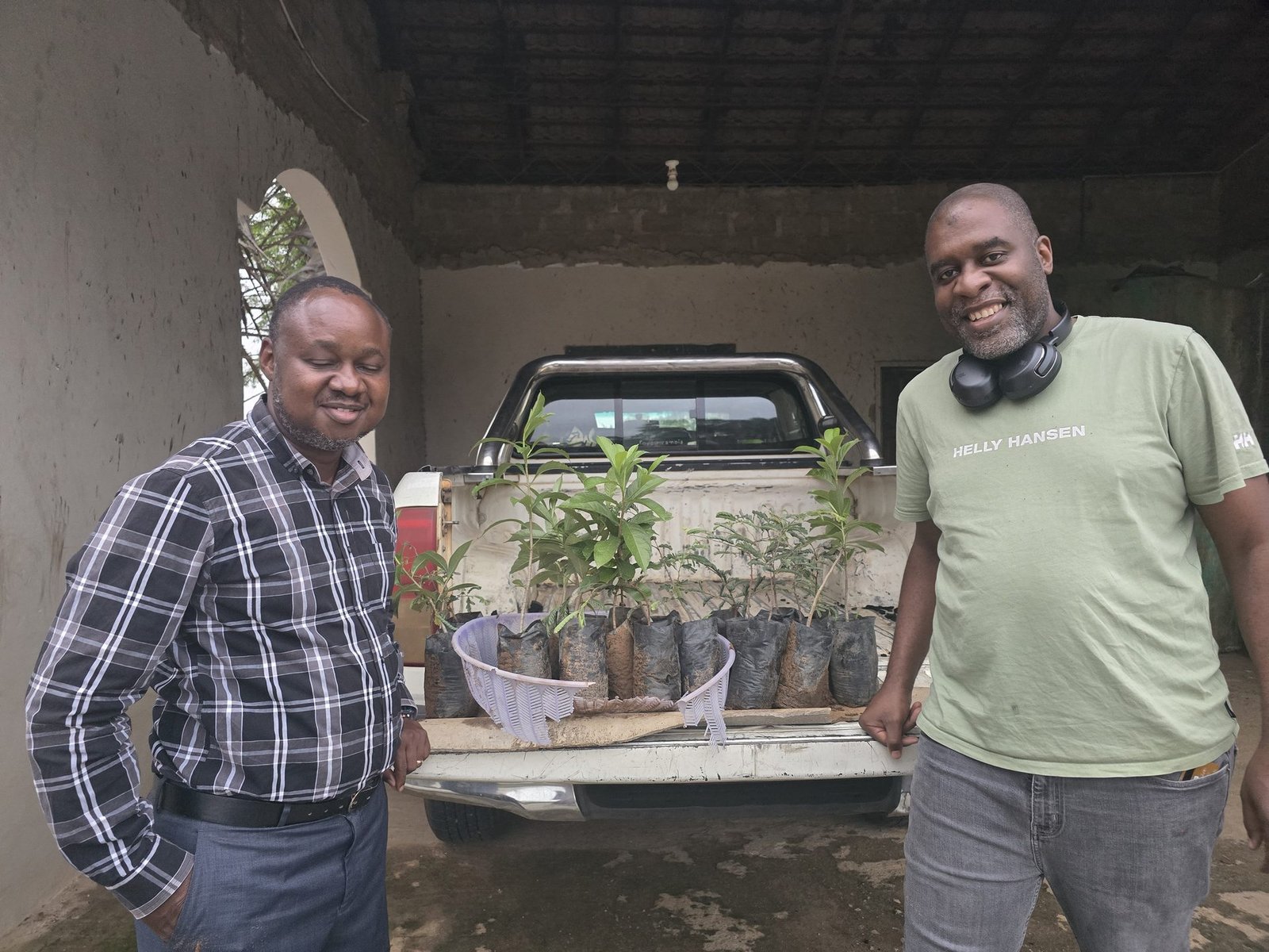 Collection of baobab and tamarind seedlings
