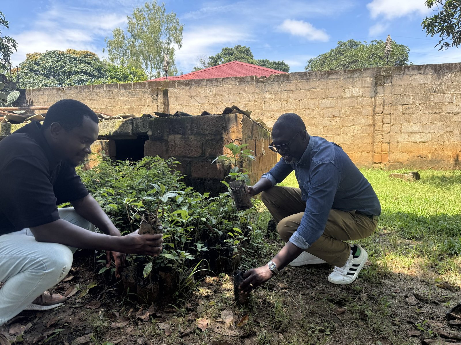 Baobab and Tamarind giveaway — DIF team at event