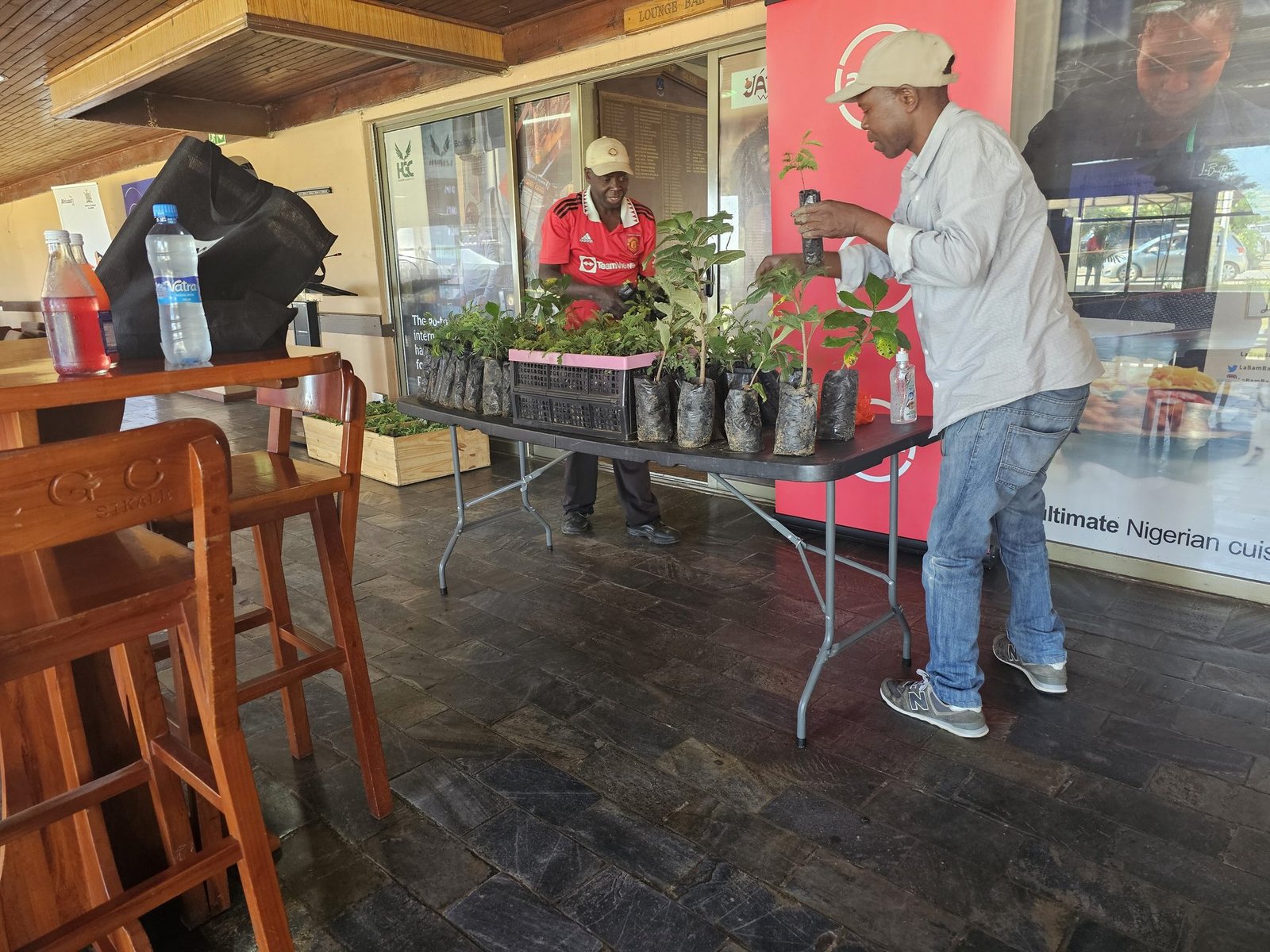 Setting up the seedling table at Lusaka Golf Club