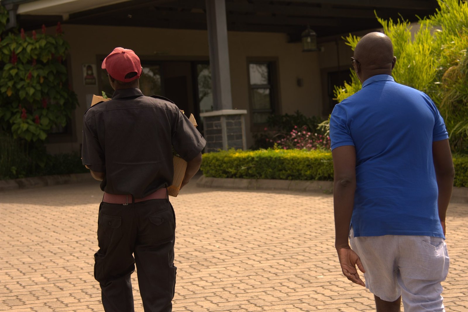 Ndola giveaway — community receiving trees