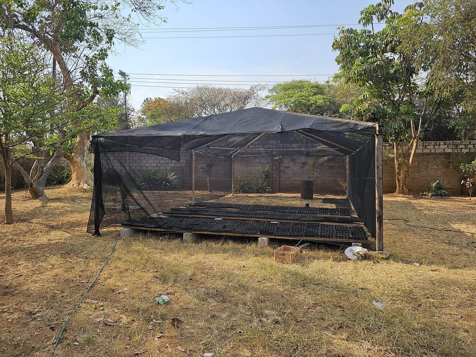 Worker watering seedlings through nursery fence