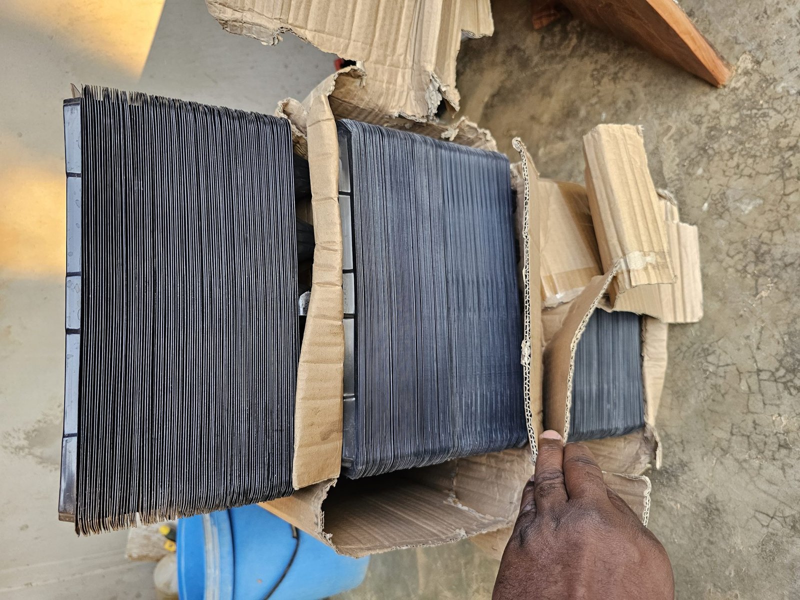 Bulk seedling trays stacked in boxes