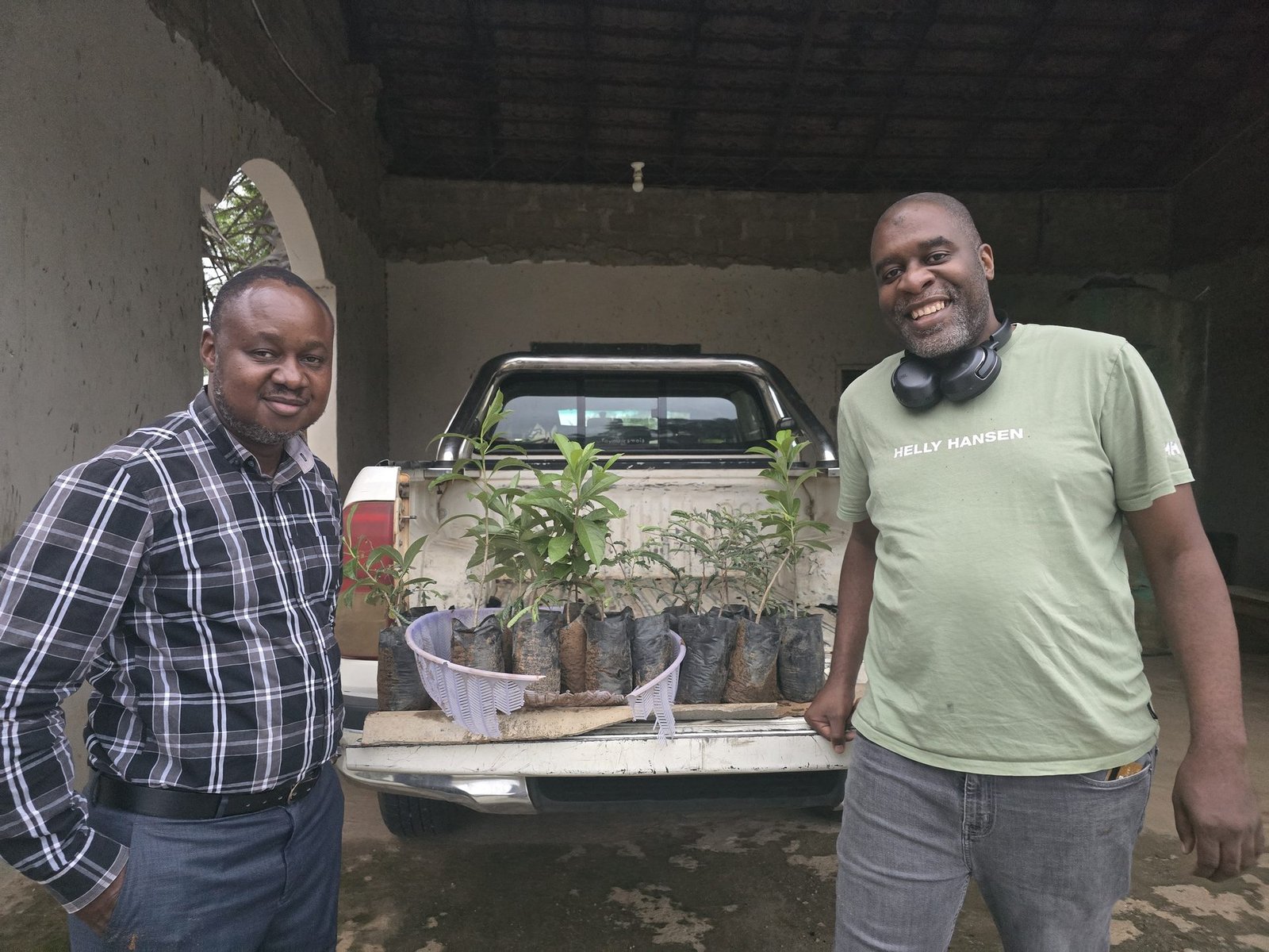 Baobab and tamarind seedlings on pickup flatbed — ready for delivery