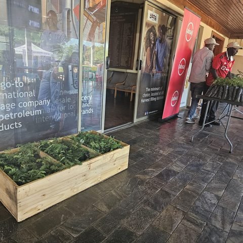 Seedling giveaway at Lusaka Golf Club