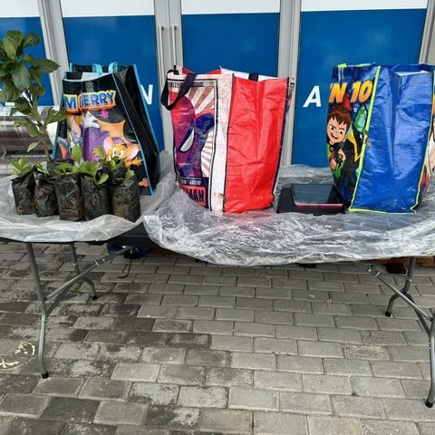 Seedling giveaway at Micmar