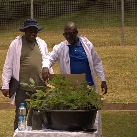 Ndola community seedling giveaway