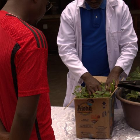 Ndola community seedling giveaway
