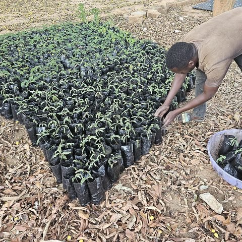 Our nursery