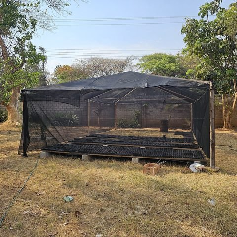 Our nursery