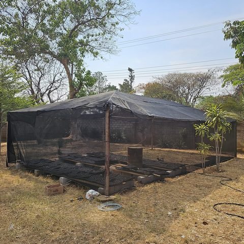 Our nursery