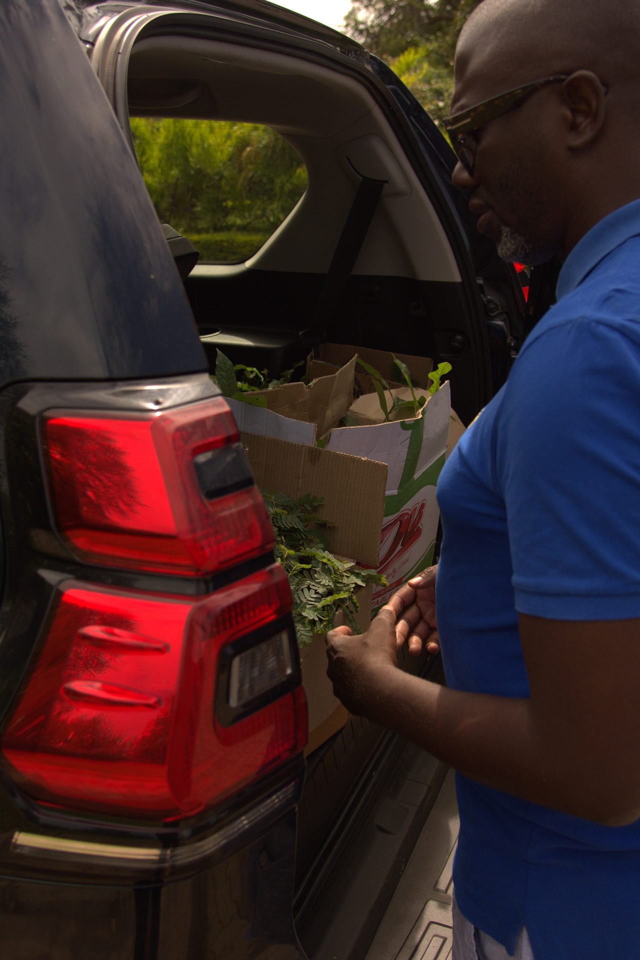Seedlings loaded and ready for the drive to Ndola