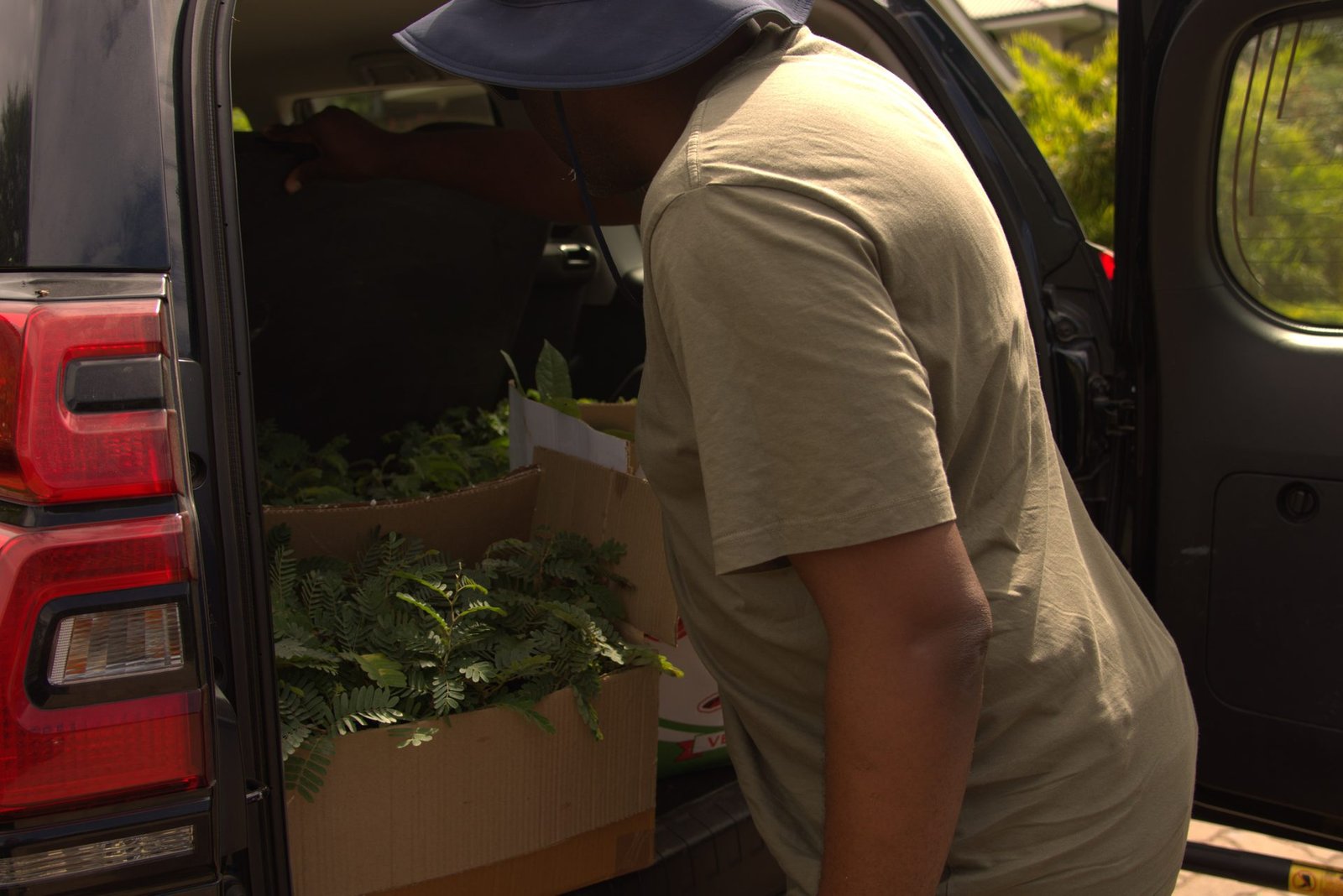 Seedlings arriving in Ndola — Copperbelt delivery
